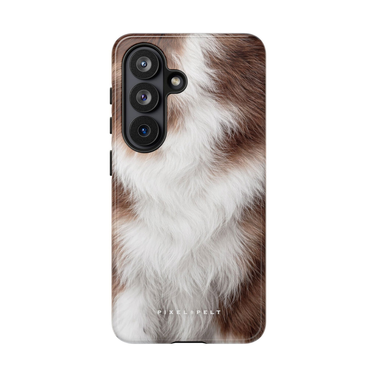 white-brown-piebald-fluffy