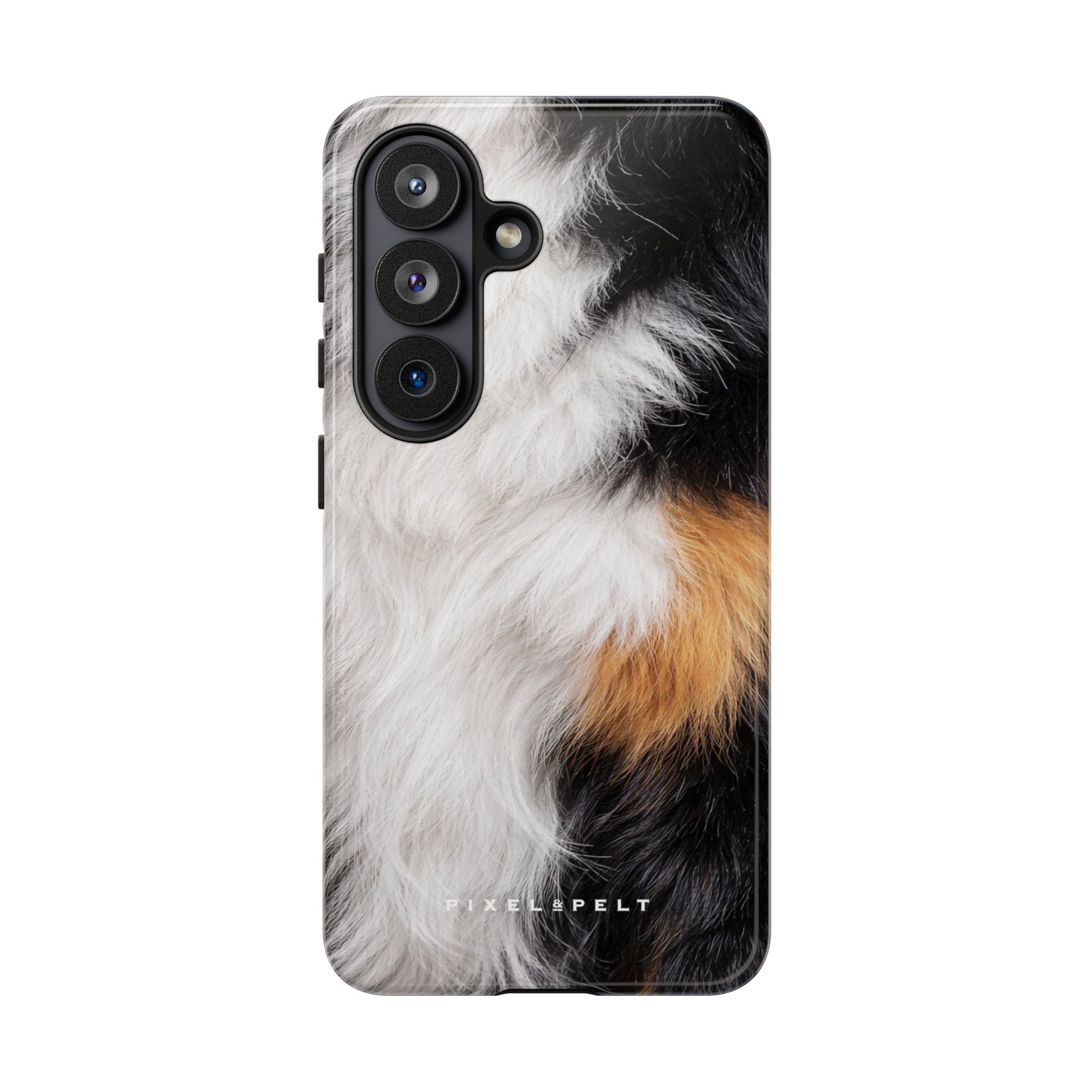 black-white-tan-tricolor-1