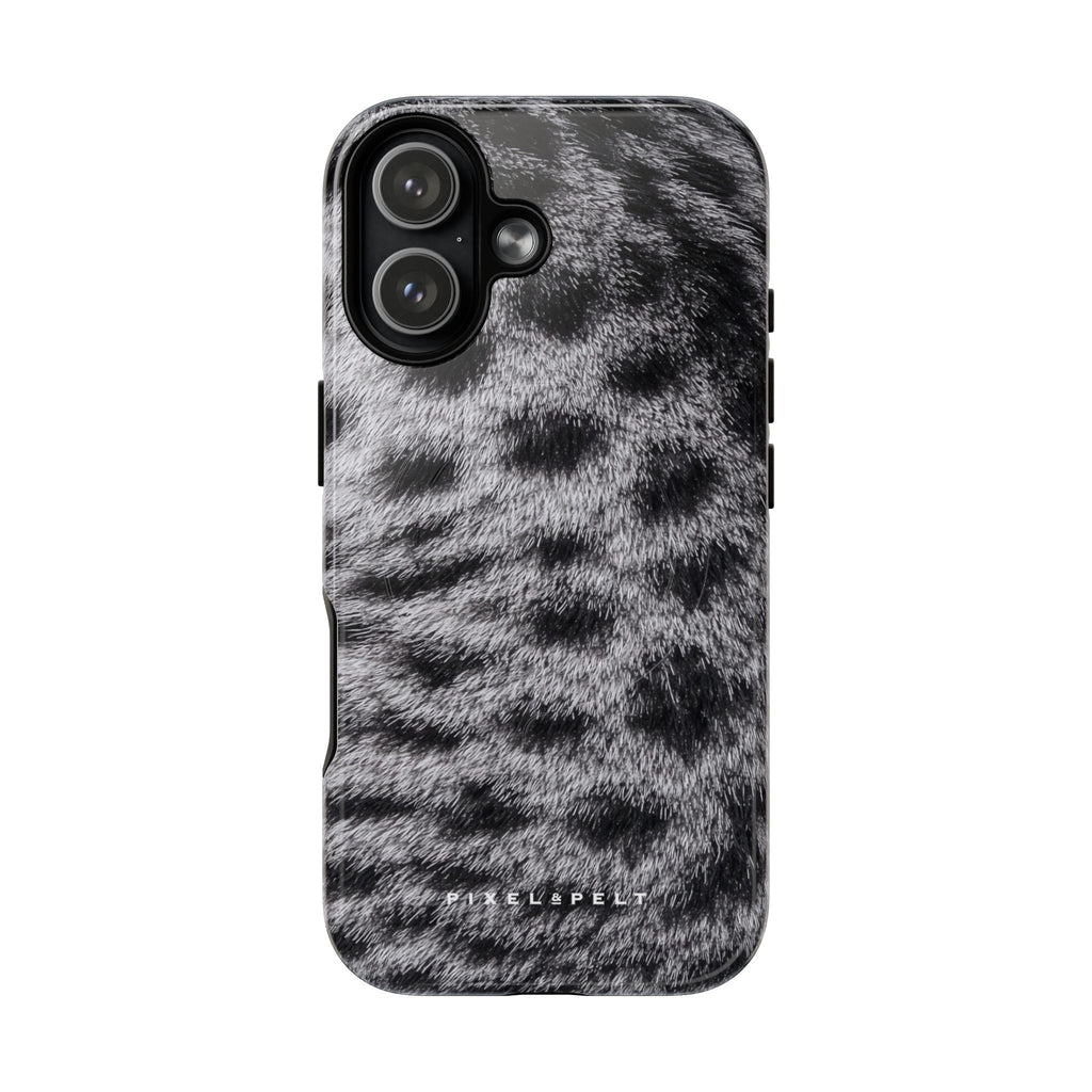 silver-grey-spotted-tabby