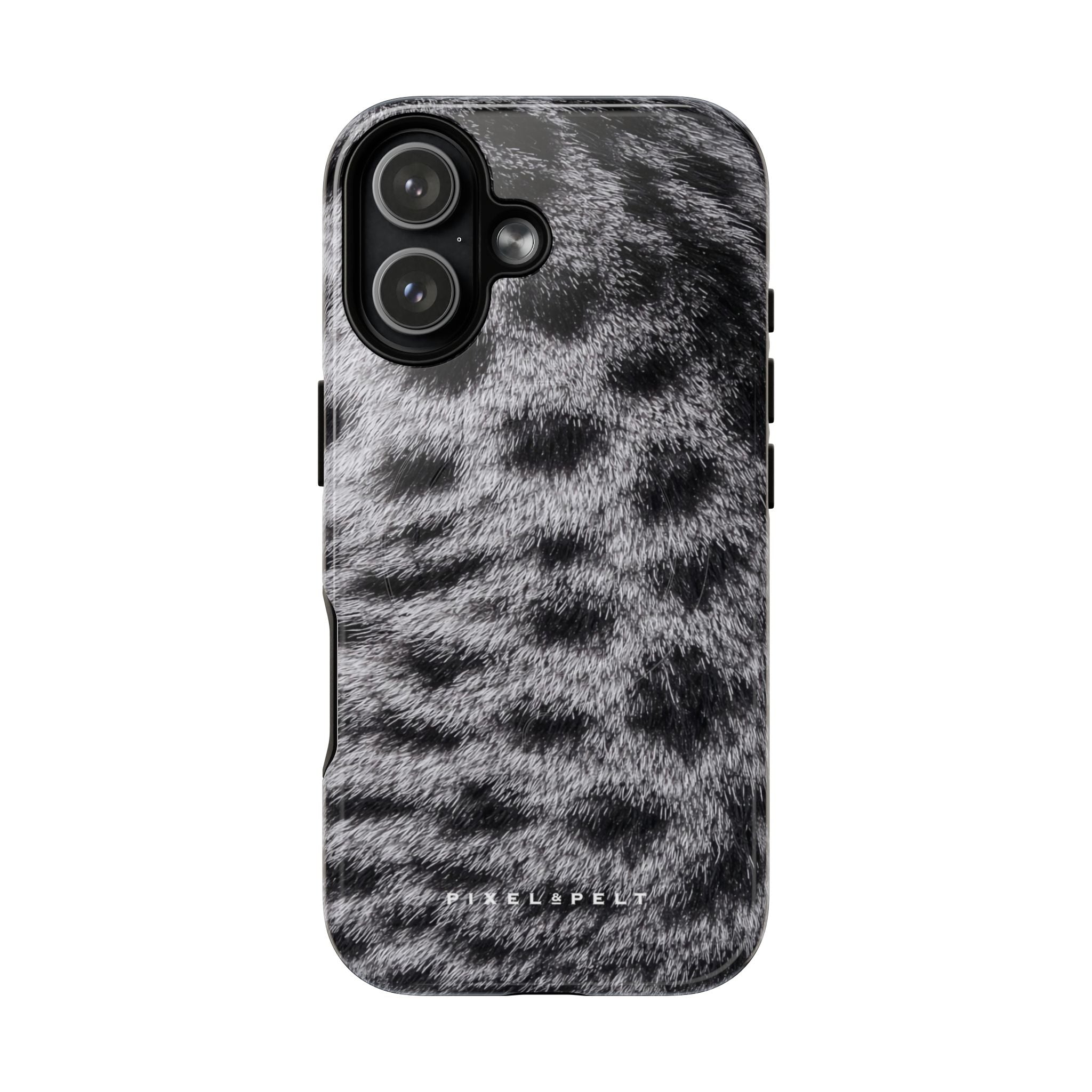 silver-grey-spotted-tabby