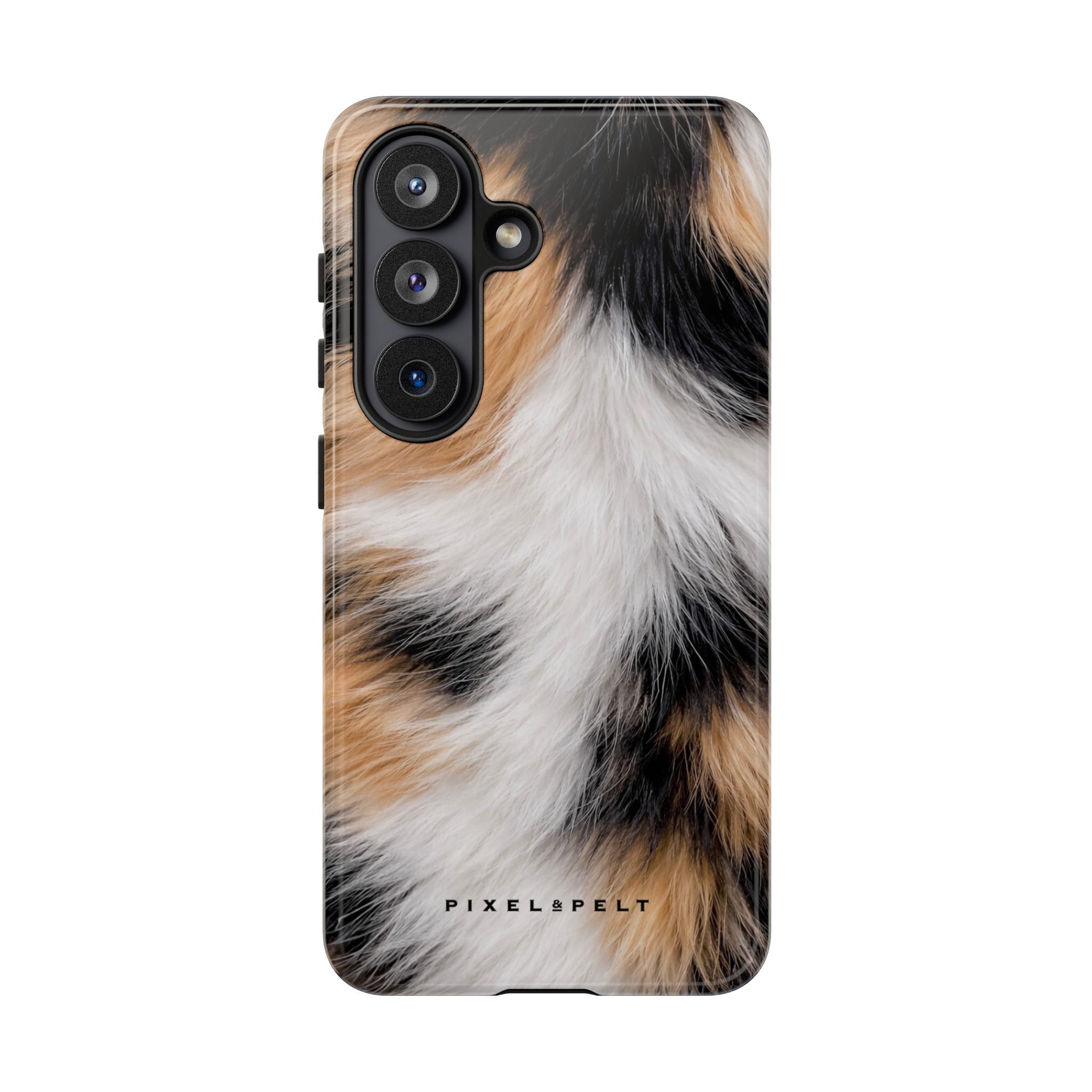 black-white-tan-calico