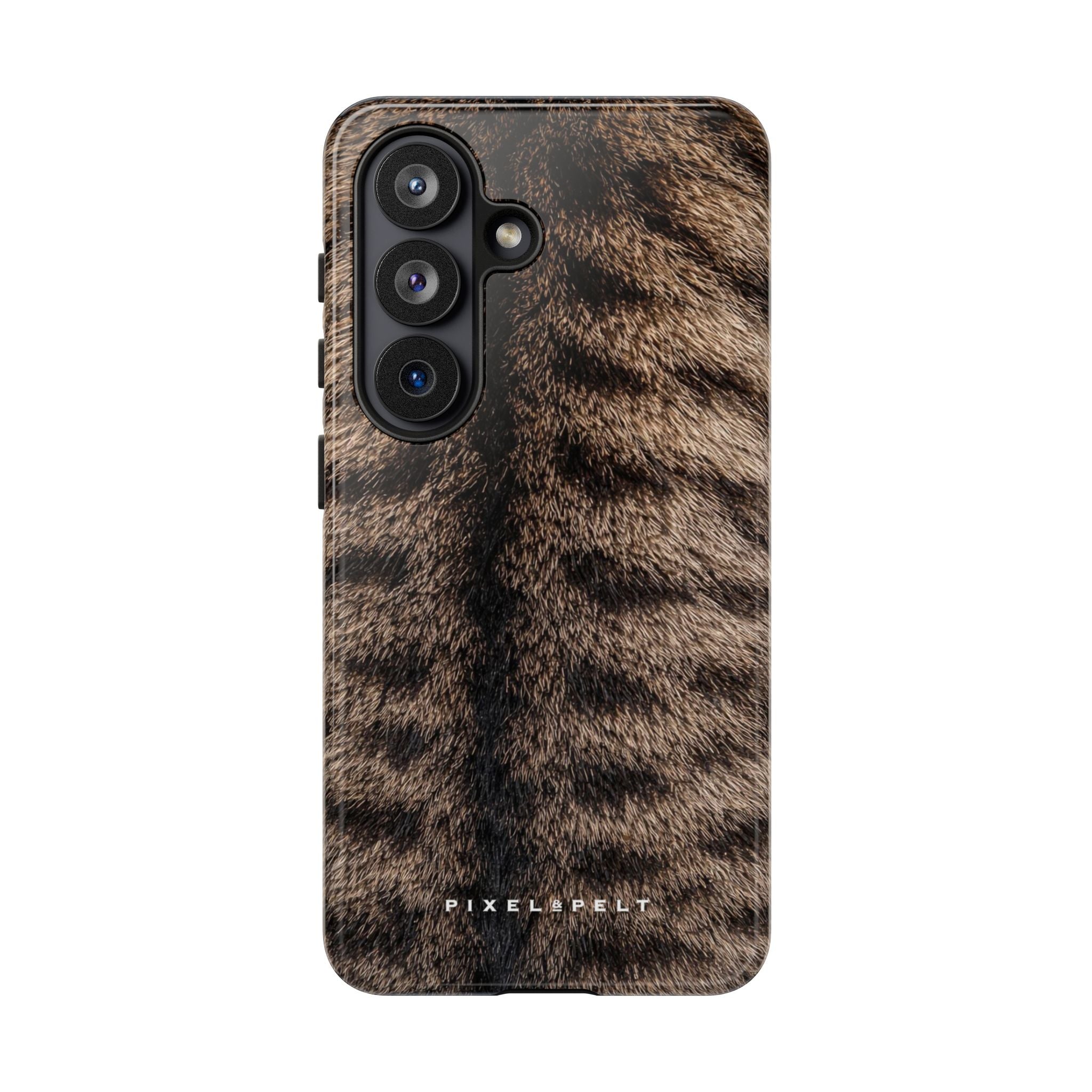 dark-brown-striped-tabby
