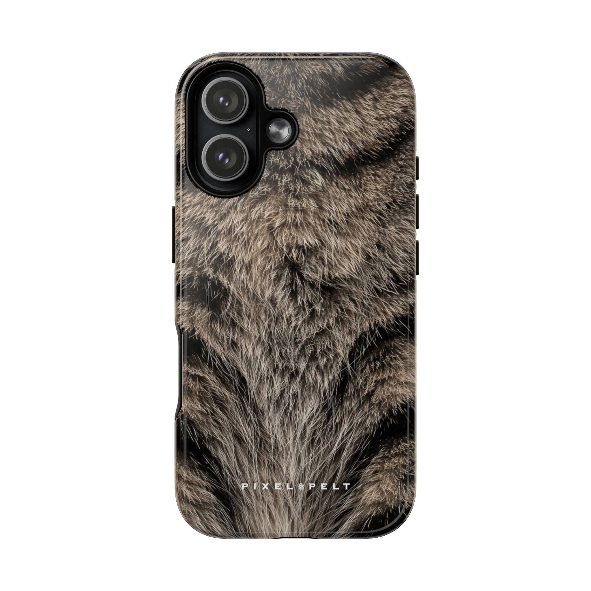 silver-grey-dark-tabby-stripe