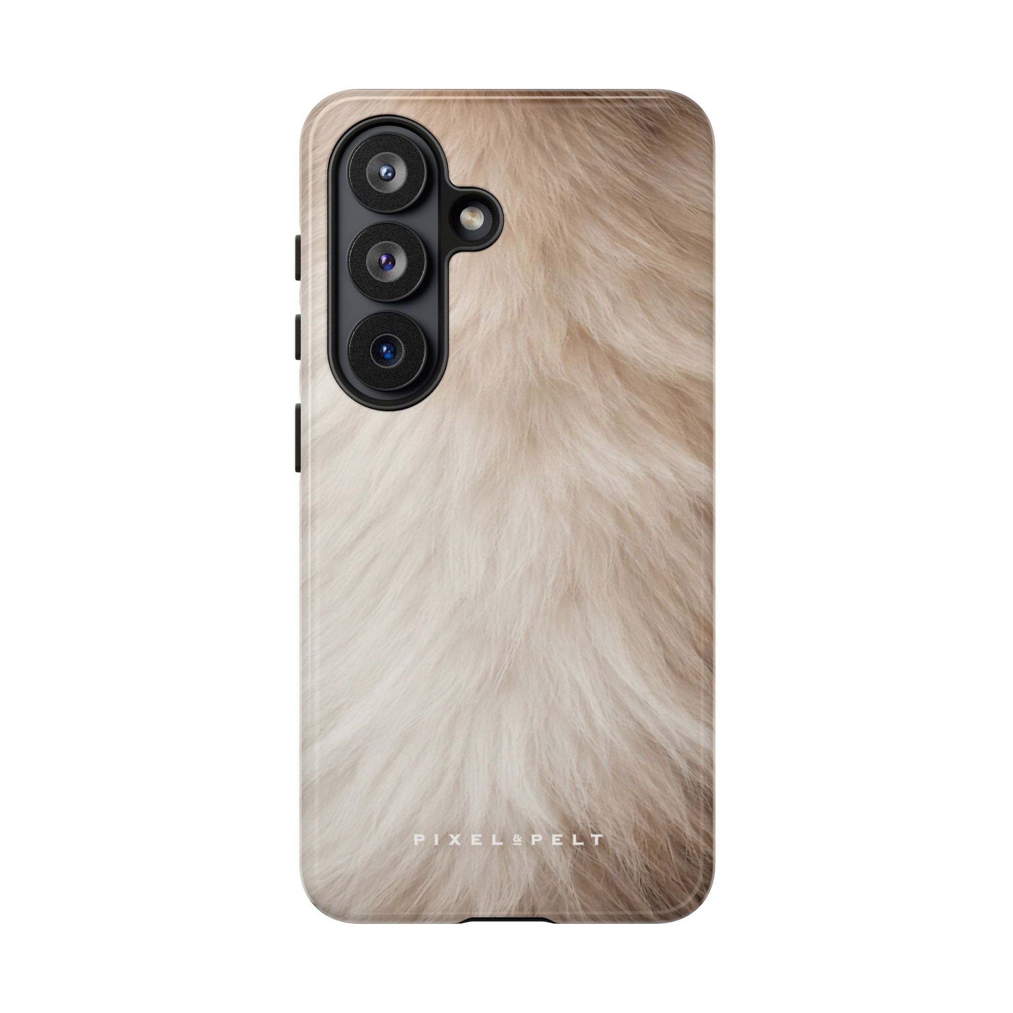 cream-white-beige-longhair
