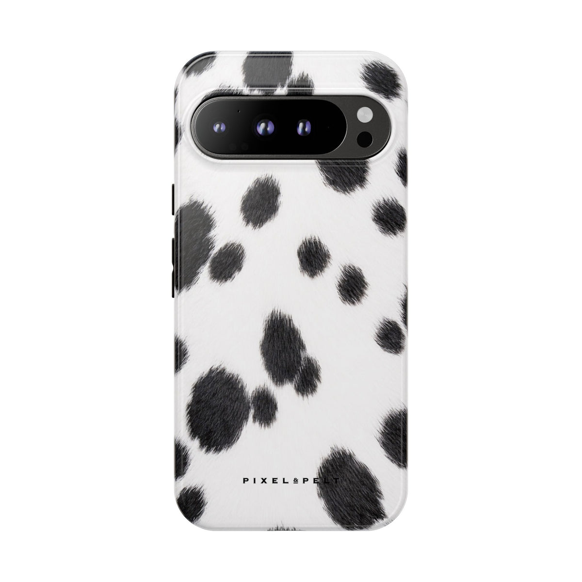 black-white-spotted-dalmatian