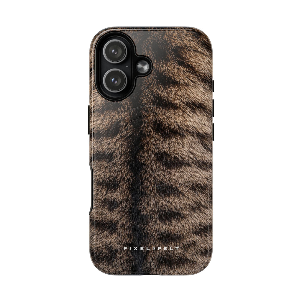 dark-brown-striped-tabby