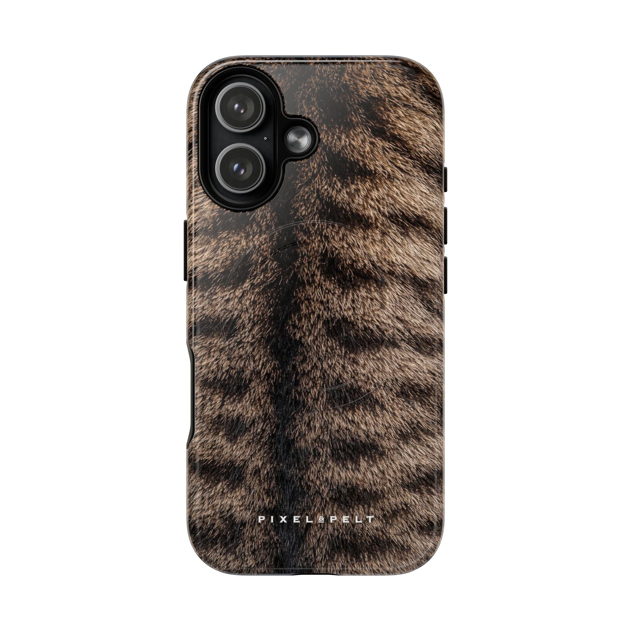 dark-brown-striped-tabby