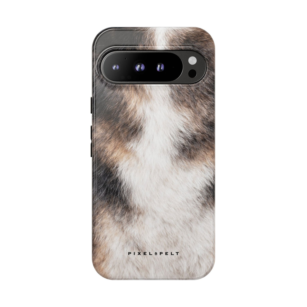 black-tan-white-tricolor-2