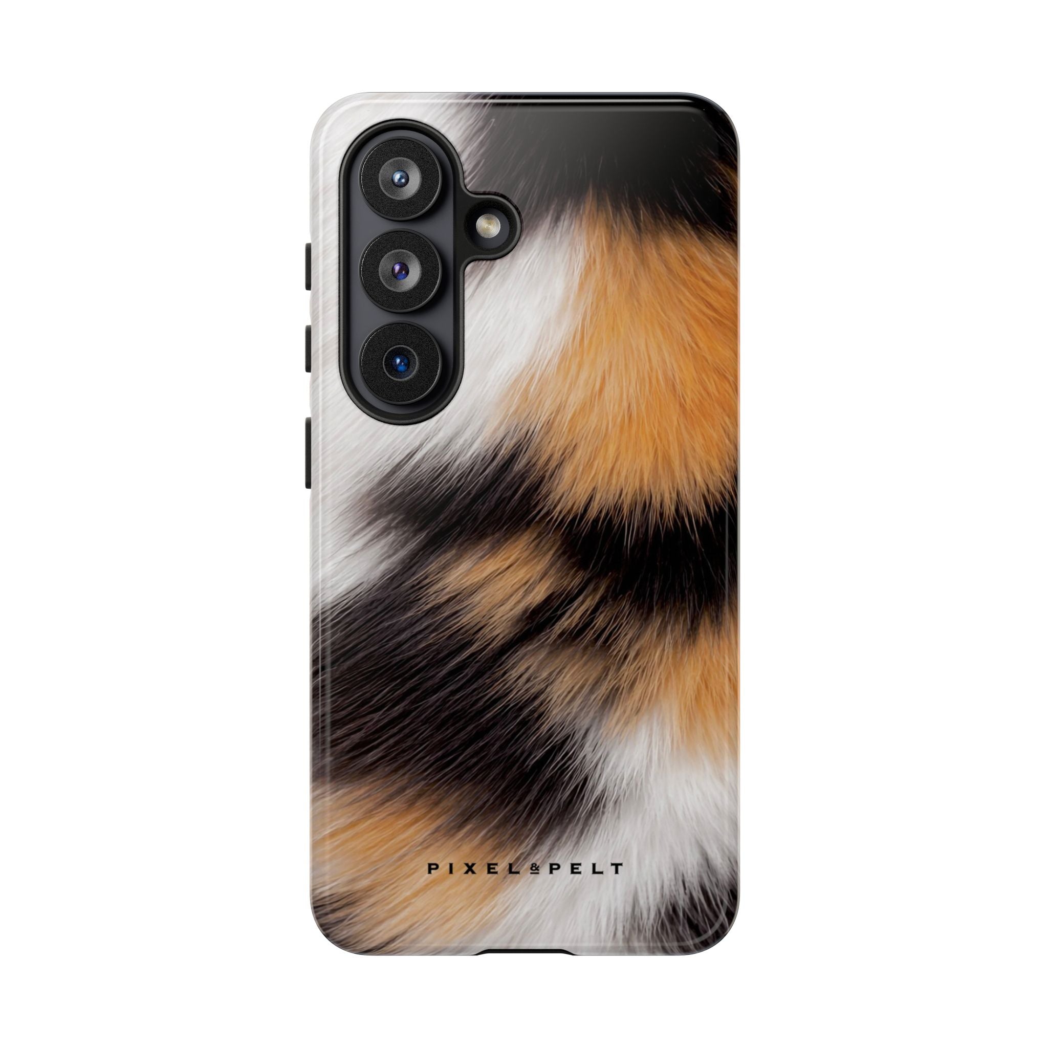white-black-orange-calico