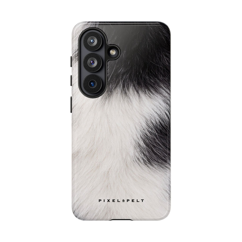 black-white-bicolor-piebald
