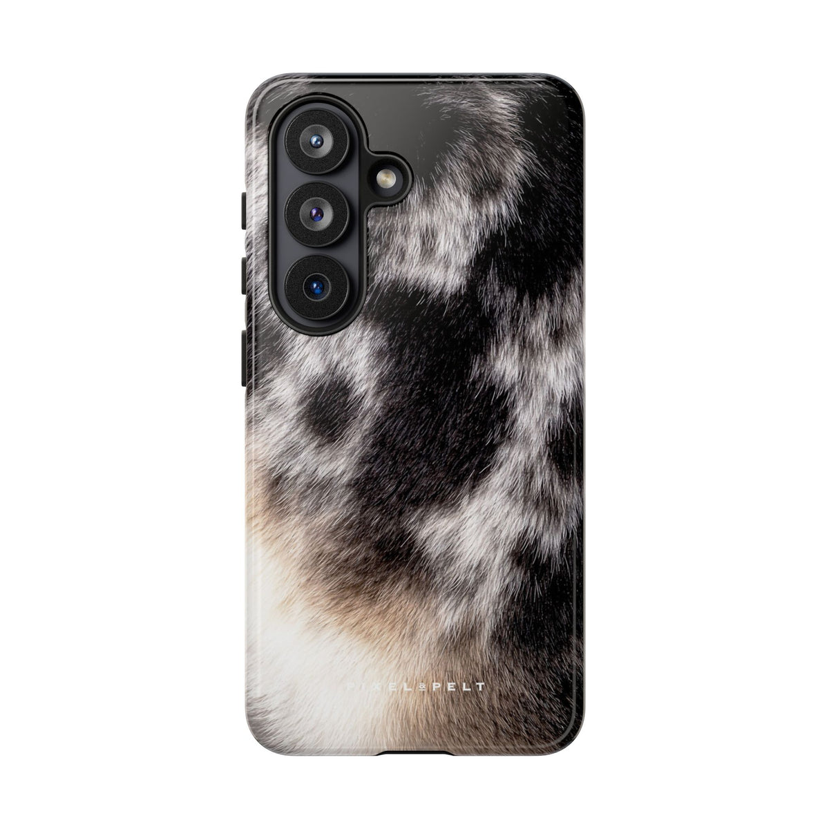 black-grey-silver-merle-cream