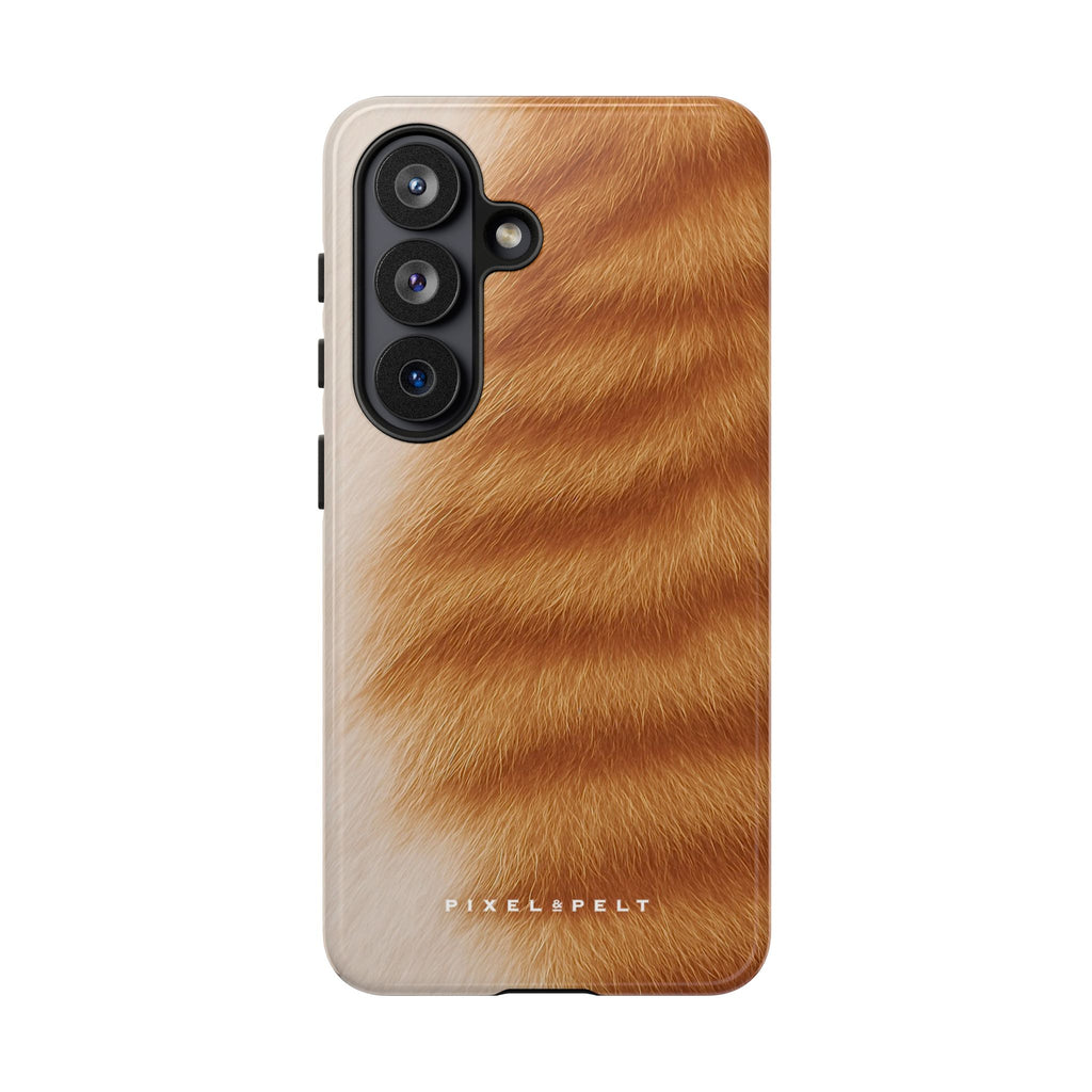 golden-tan-tabby-striped