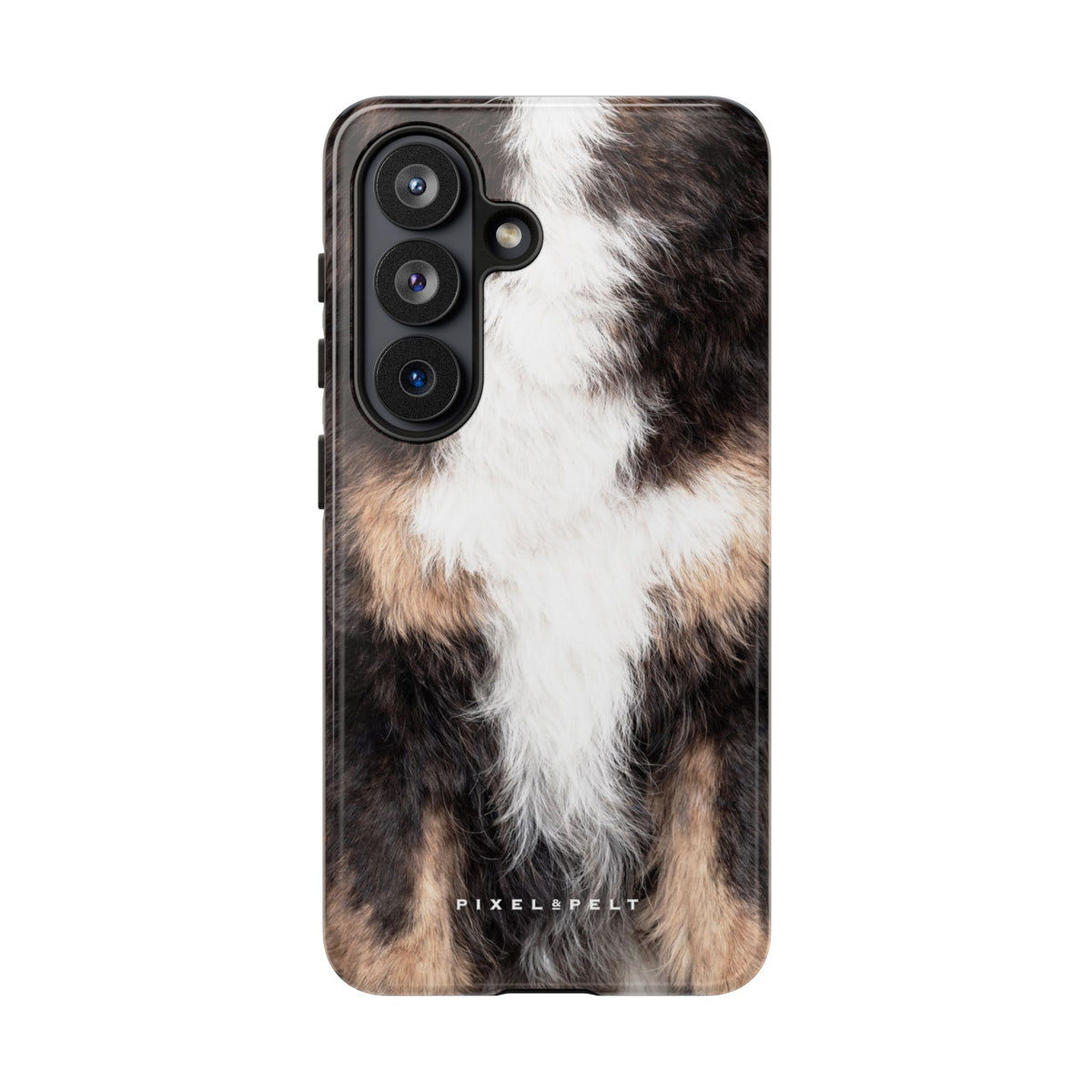 black-white-tan-tricolor-2