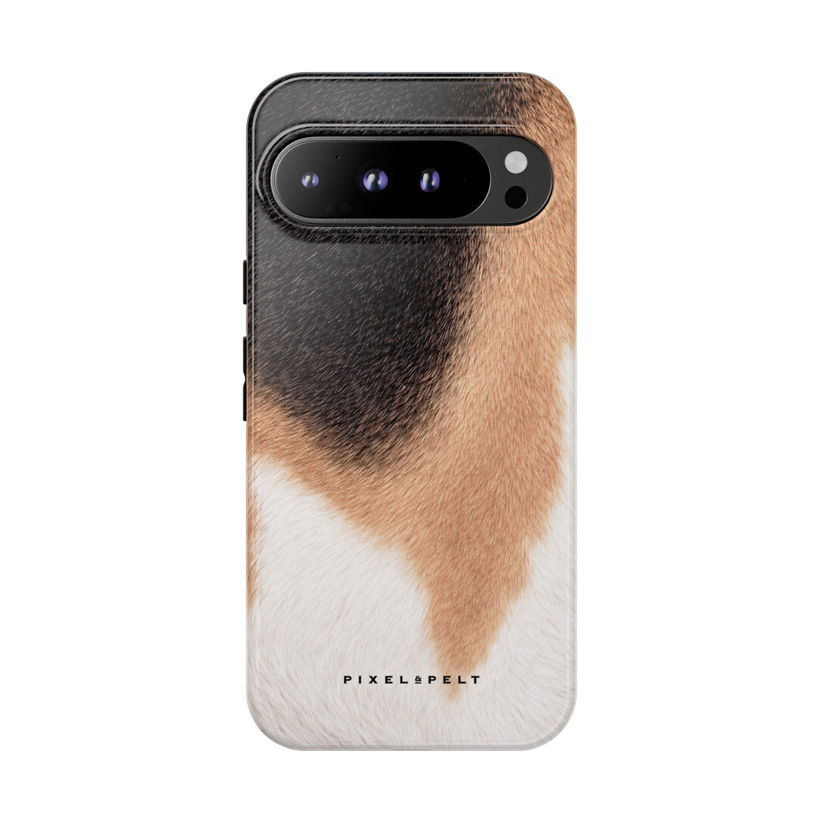 black-tan-white-tricolor-1