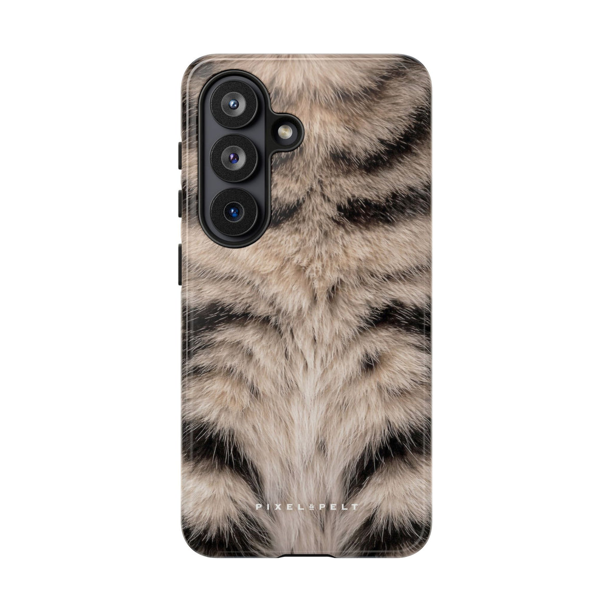 cream-black-striped-tabby