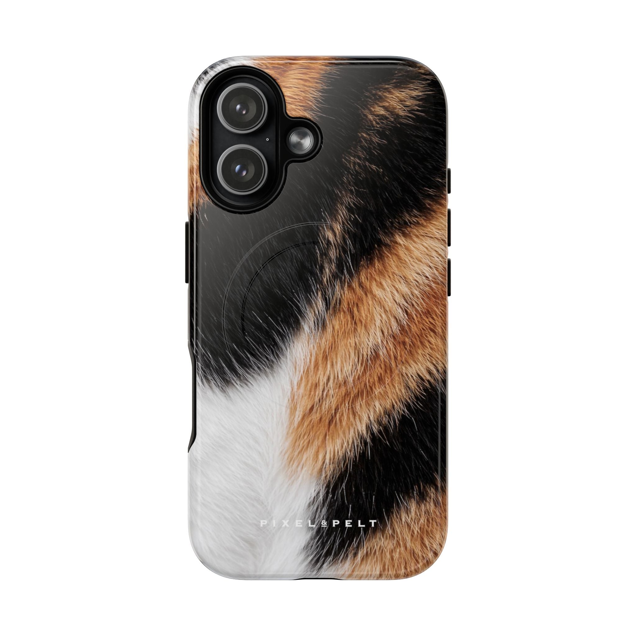 black-white-orange-calico