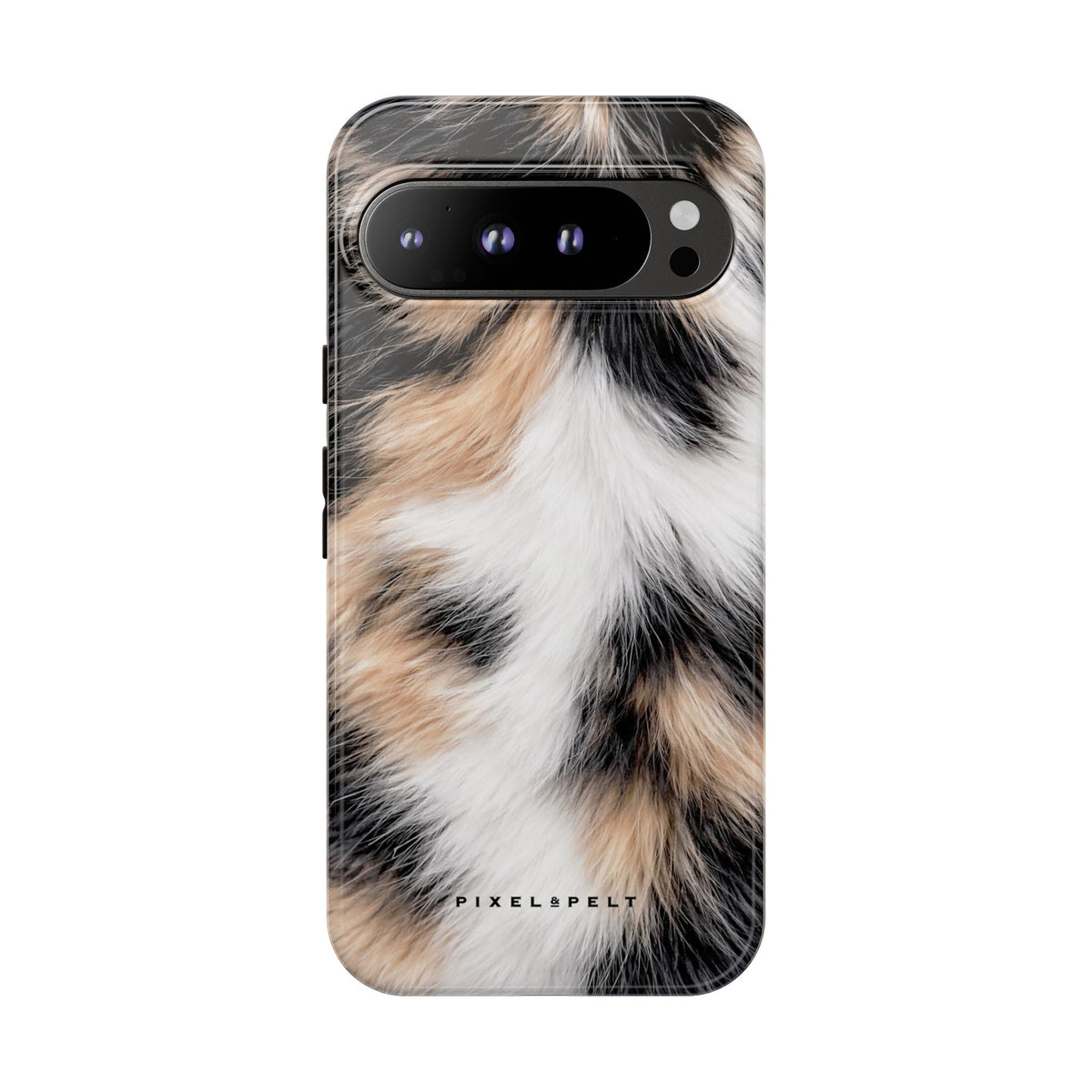 black-white-tan-calico