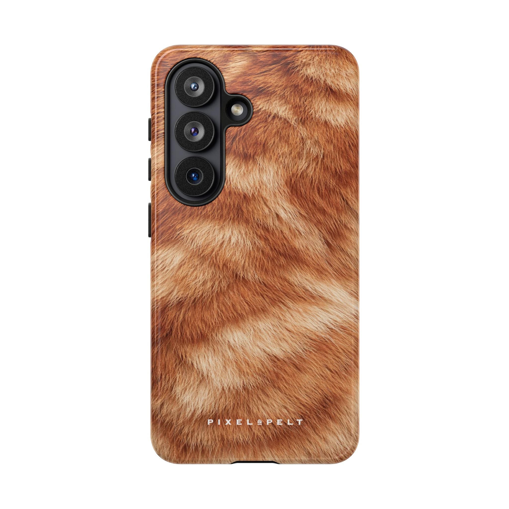 golden-tan-swirled-tabby