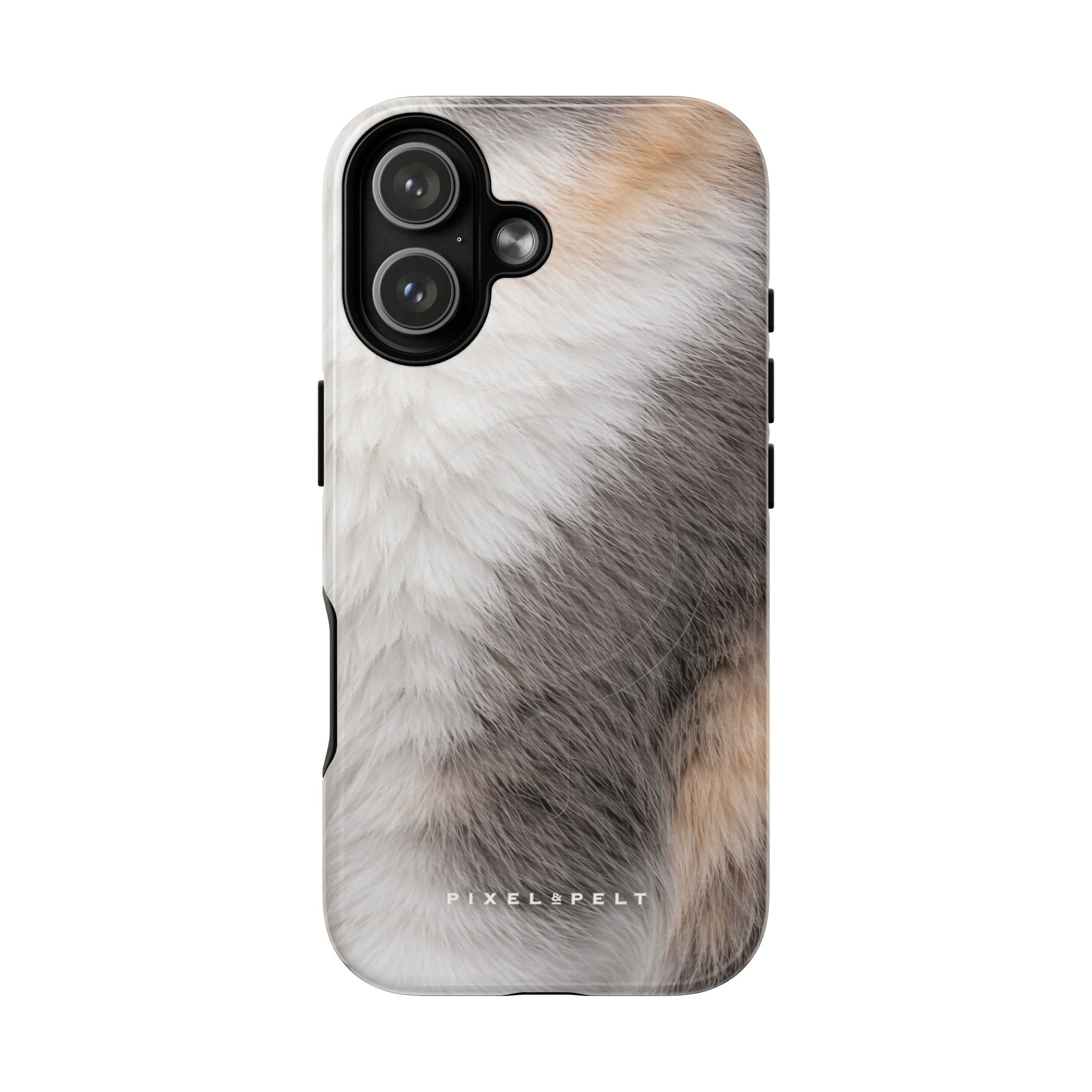 white-grey-tan-tricolor