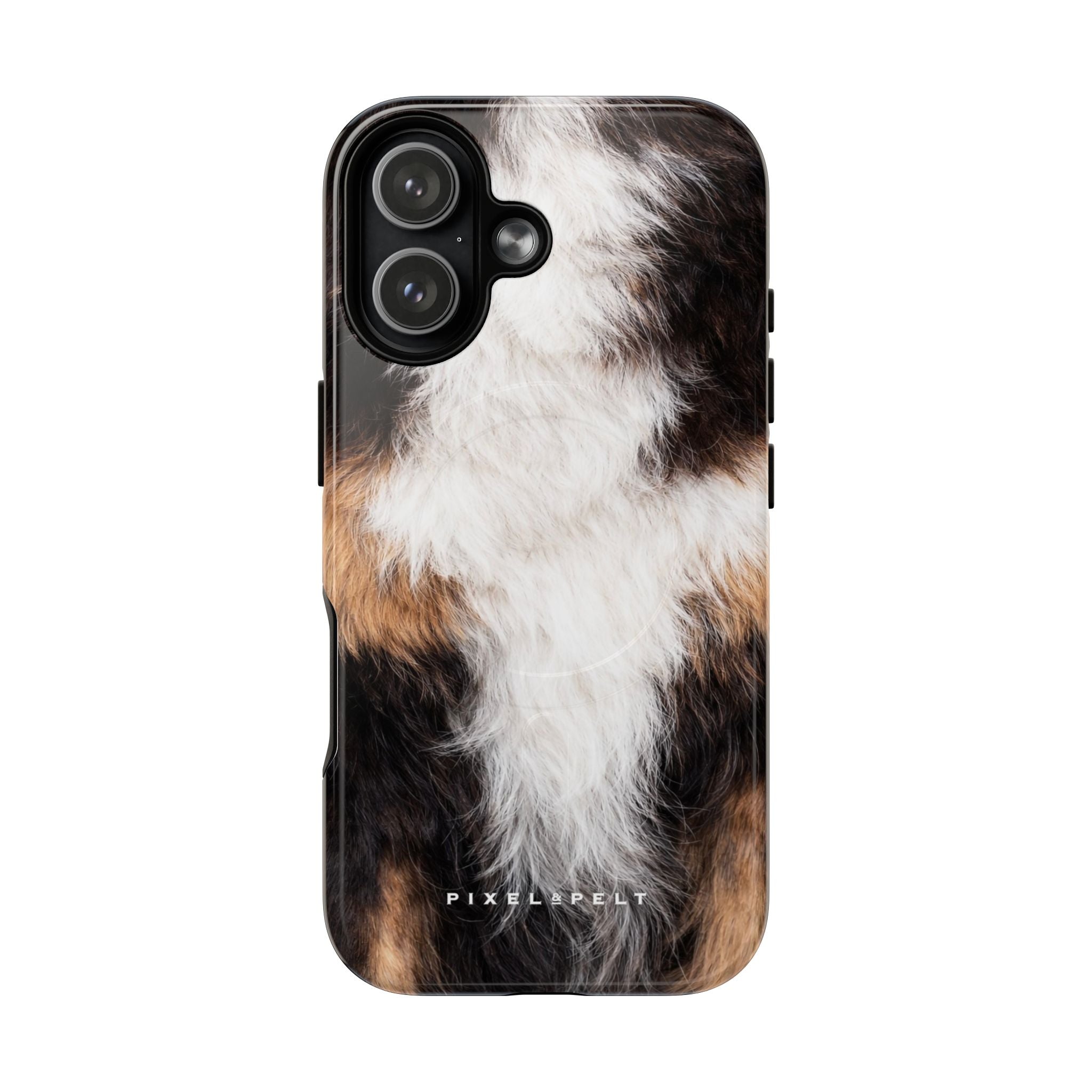 black-white-tan-tricolor-2