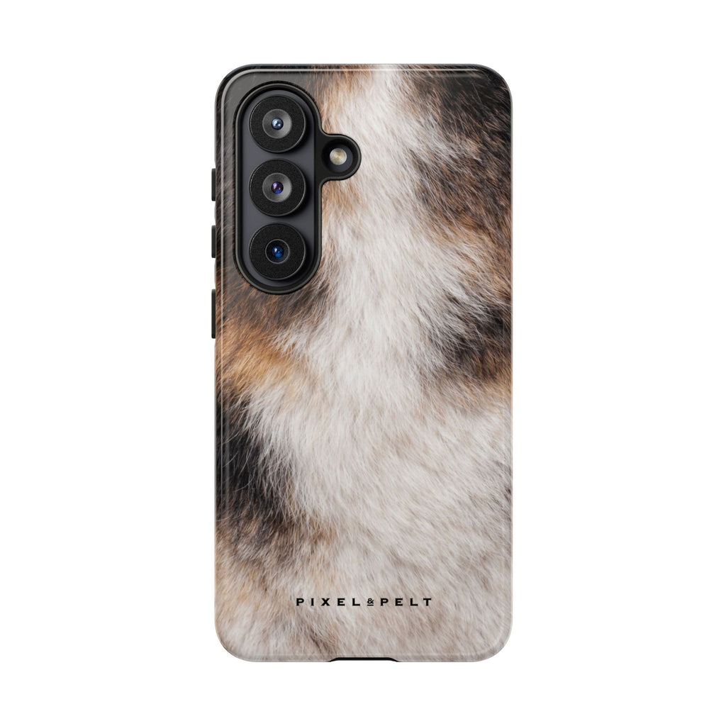 black-tan-white-tricolor-2
