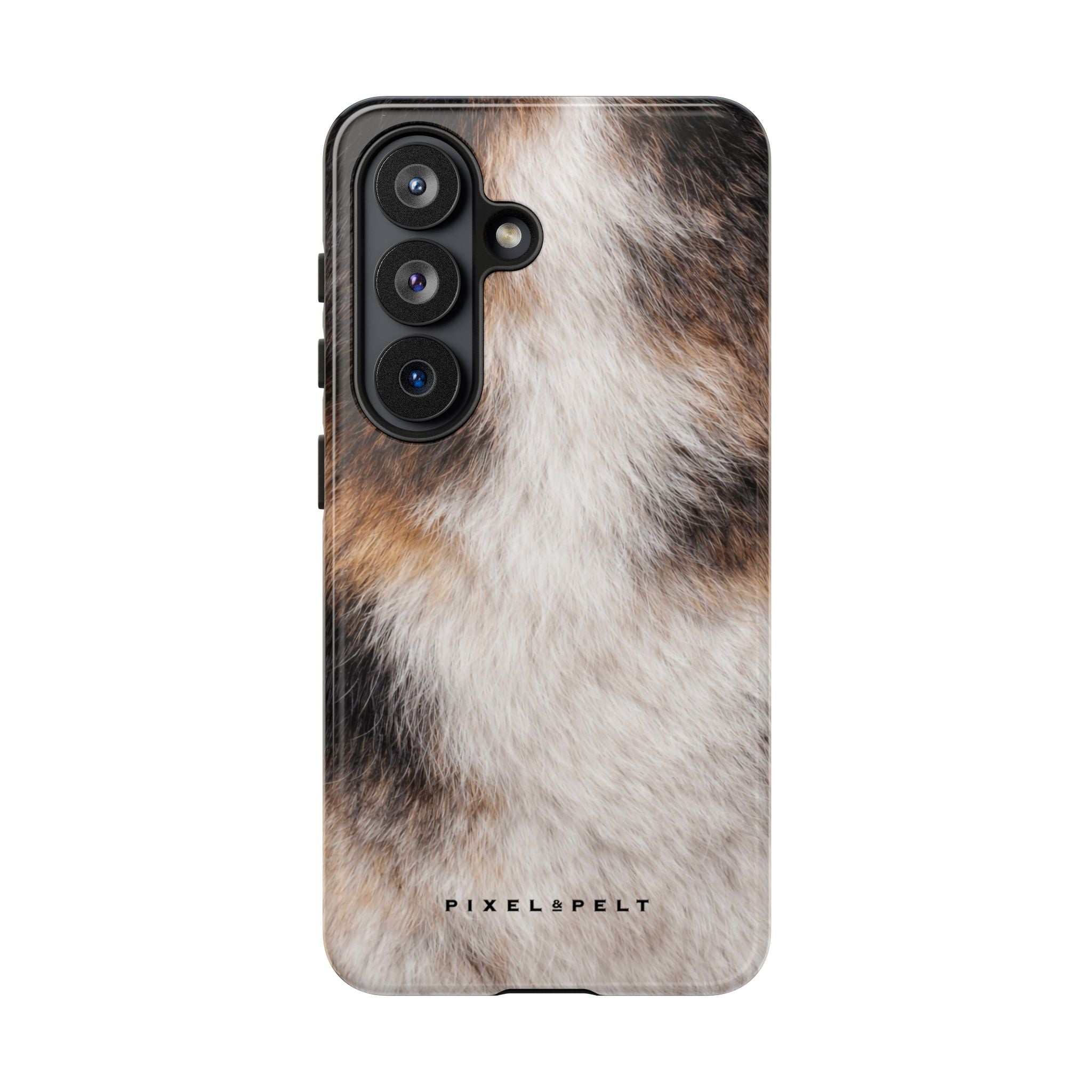black-tan-white-tricolor-2