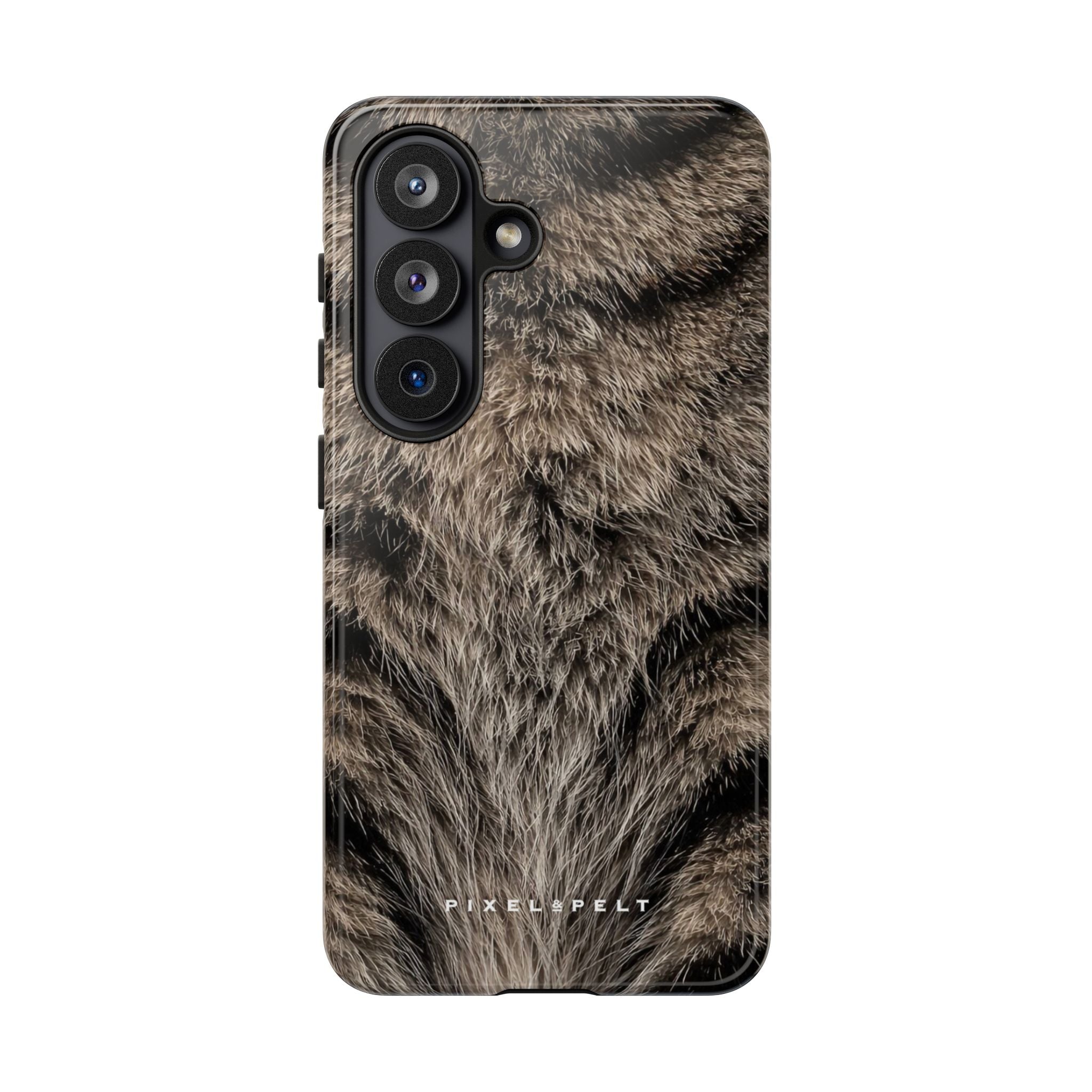 silver-grey-dark-tabby-stripe