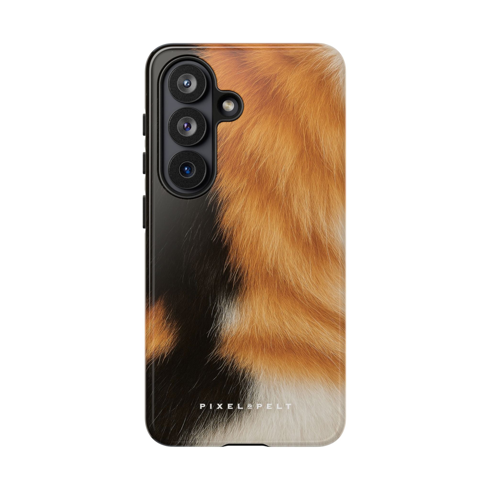 black-orange-white-calico