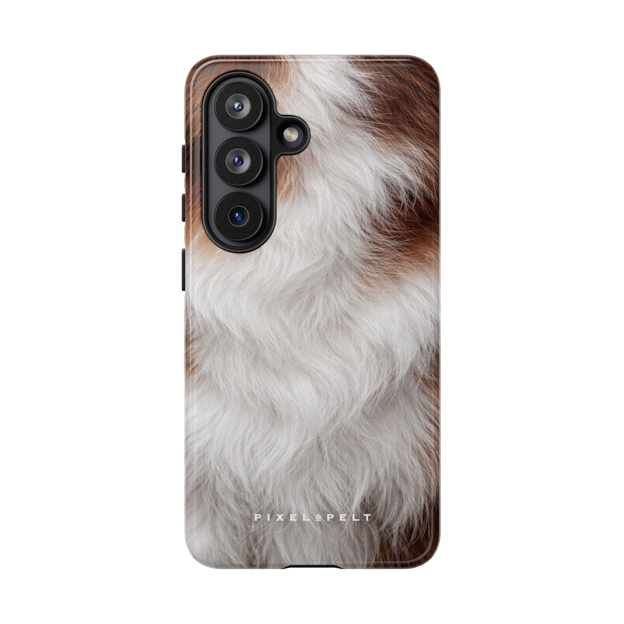 white-brown-piebald-fluffy