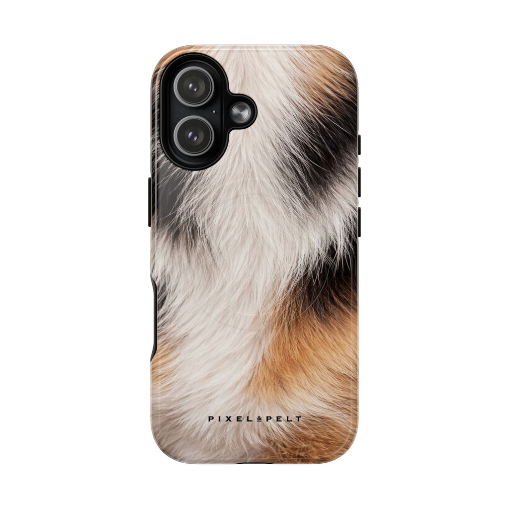 black-white-tan-tricolor-3