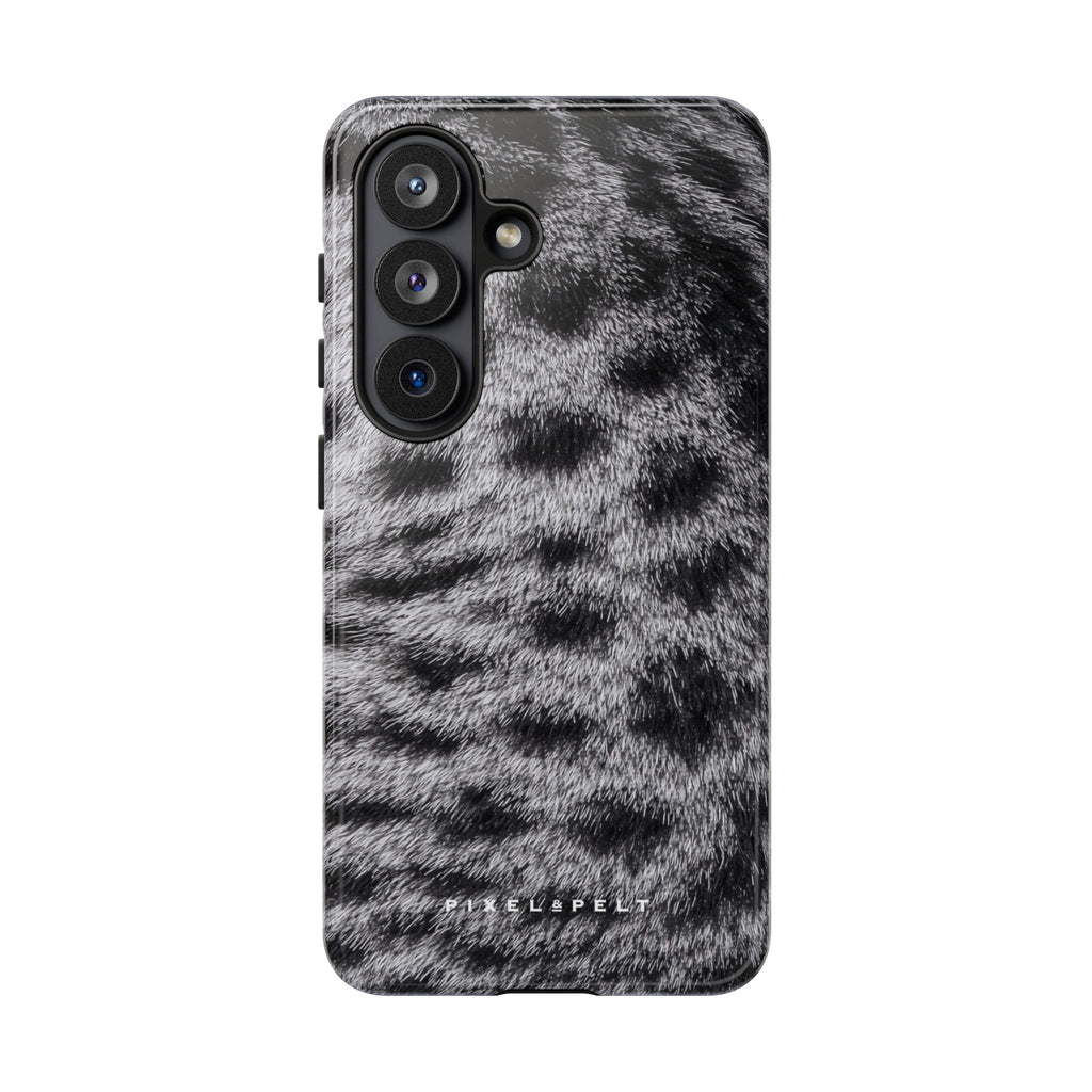 silver-grey-spotted-tabby