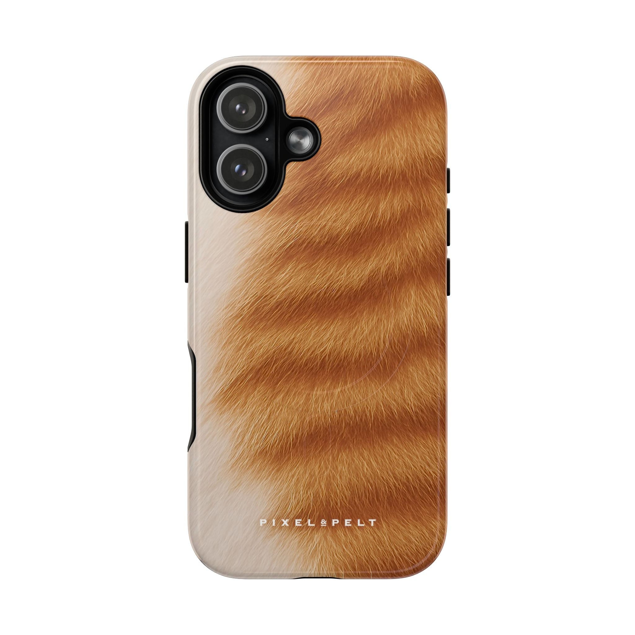 golden-tan-tabby-striped
