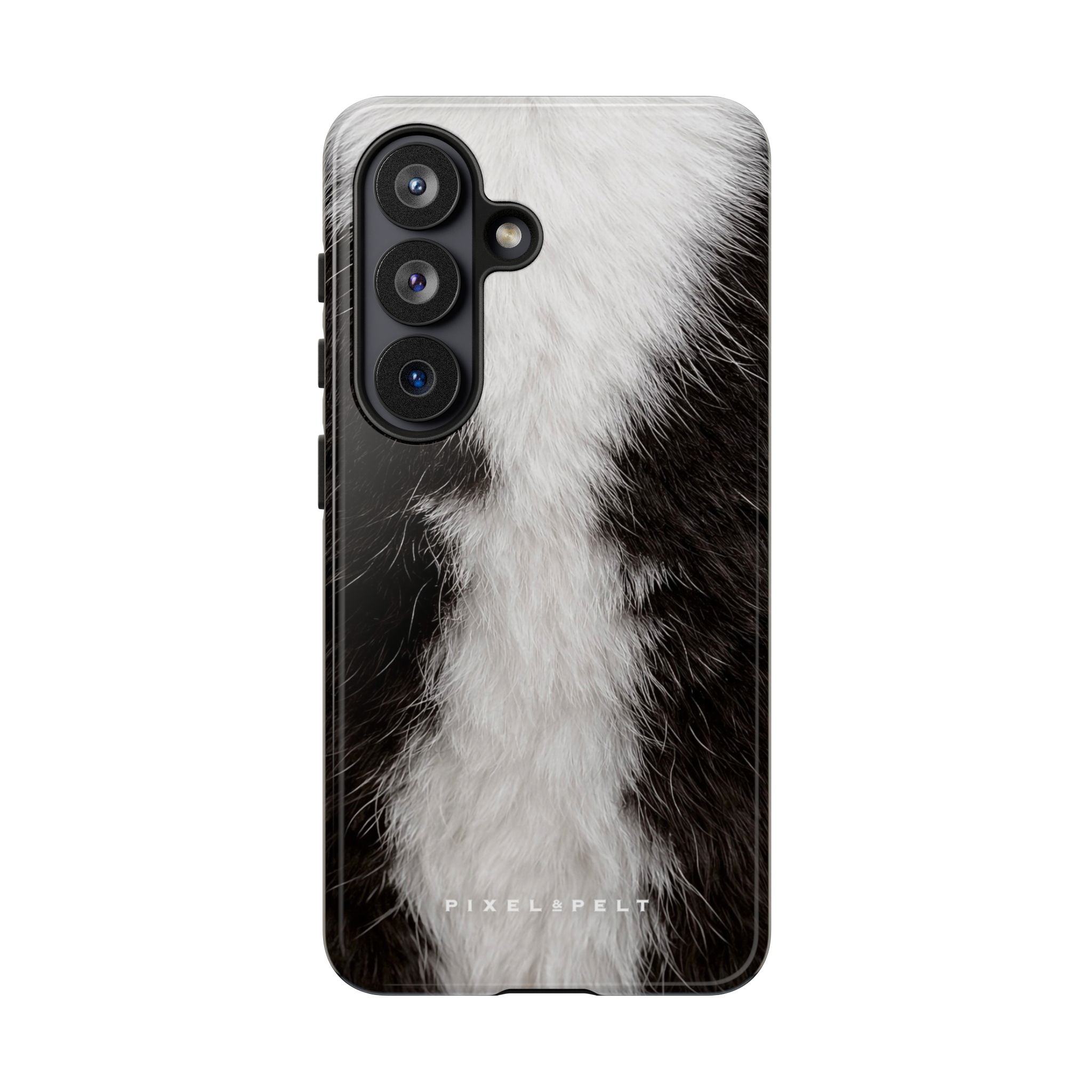 black-white-stripe-bicolor