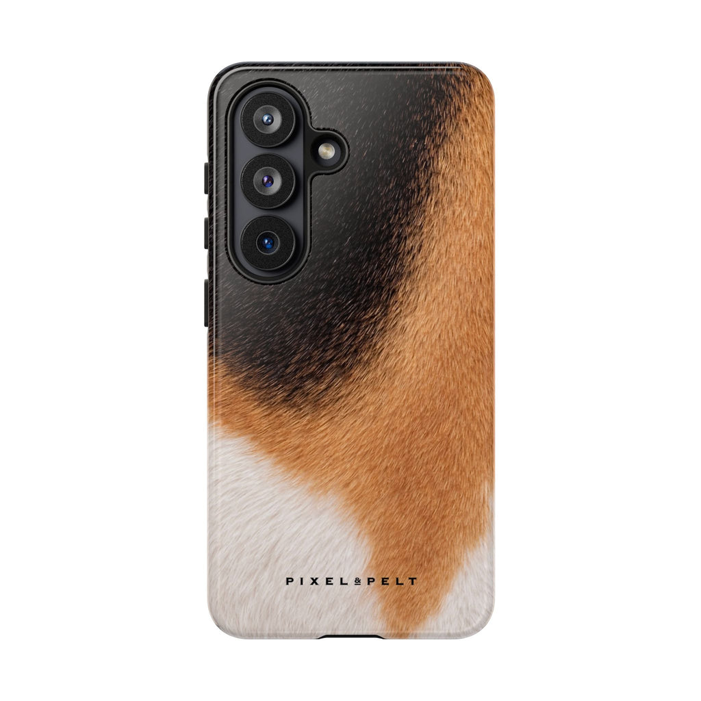 black-tan-white-tricolor-1