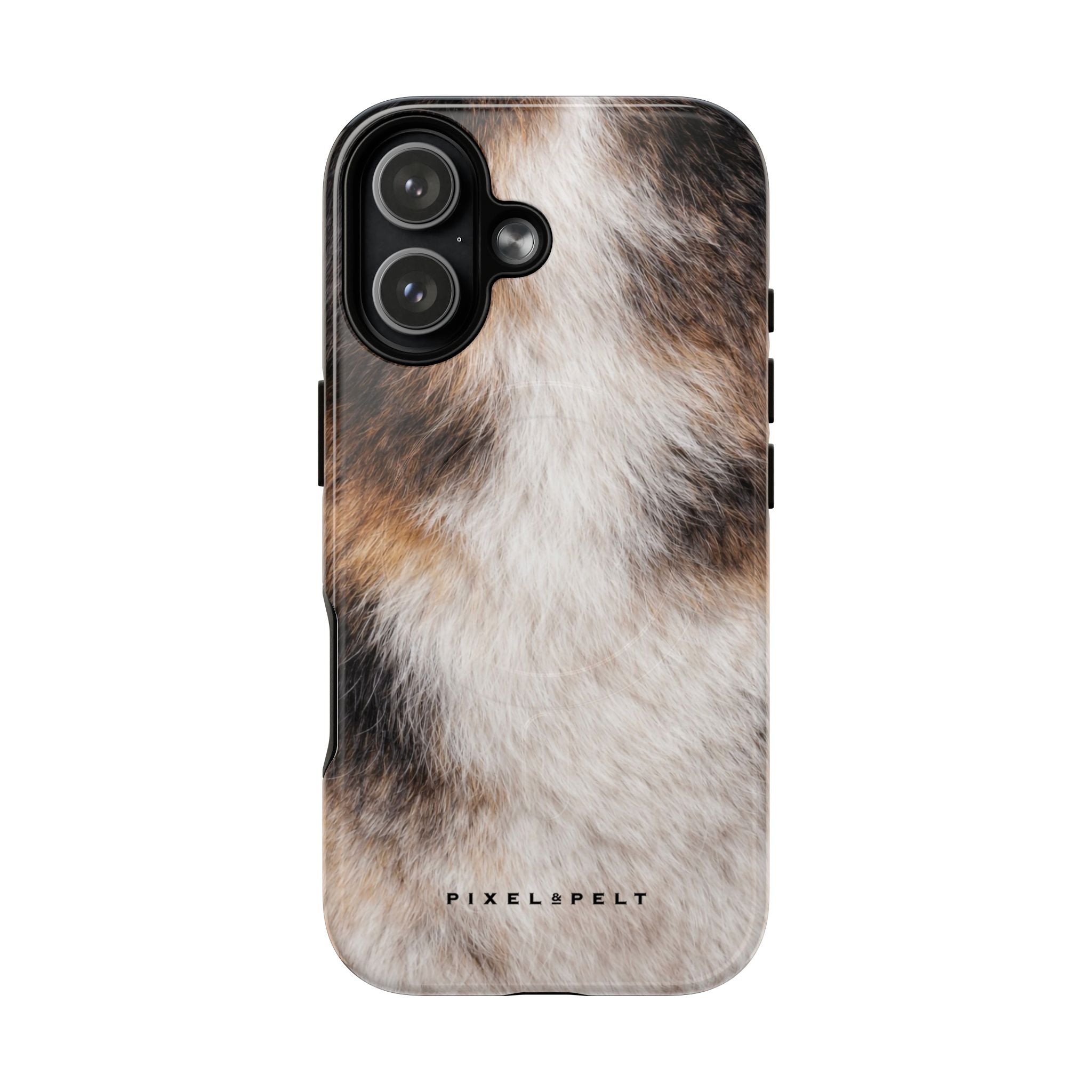 black-tan-white-tricolor-2