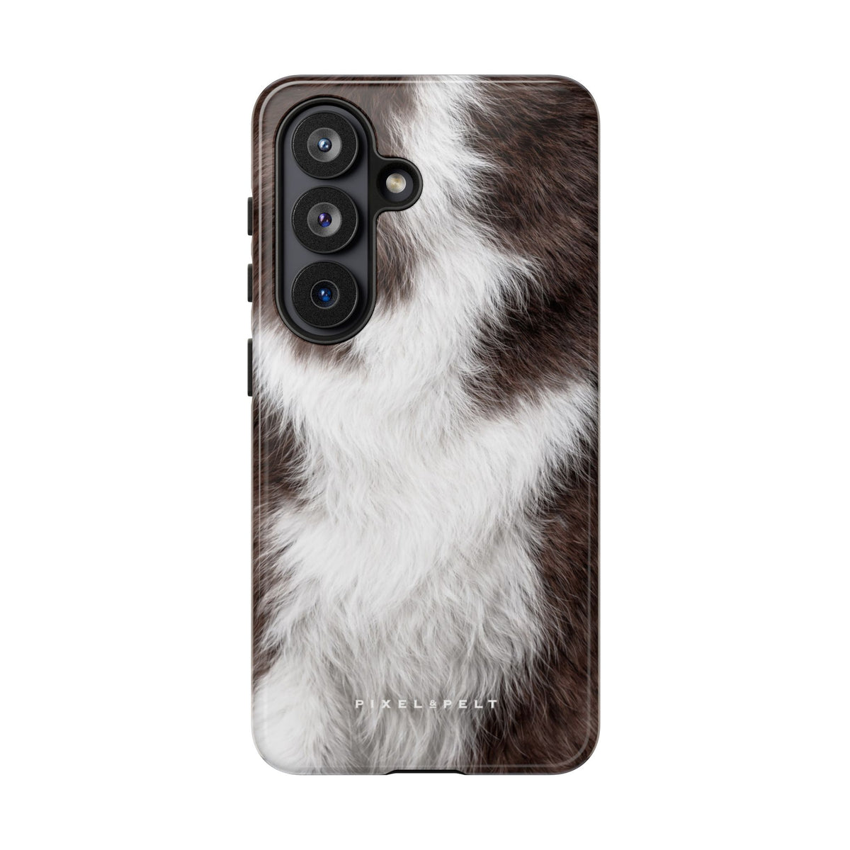 chocolate-white-piebald