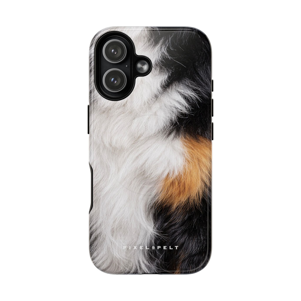 black-white-tan-tricolor-1