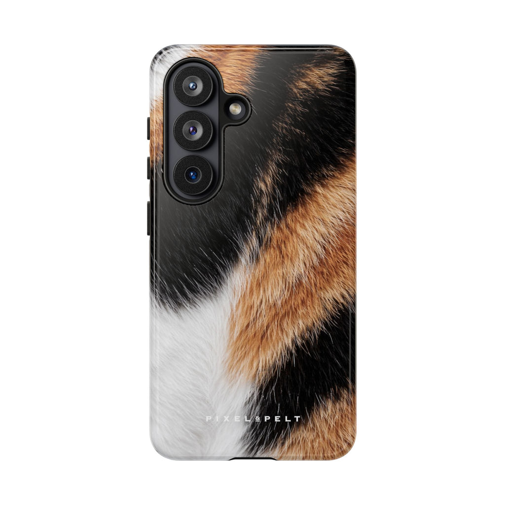 black-white-orange-calico