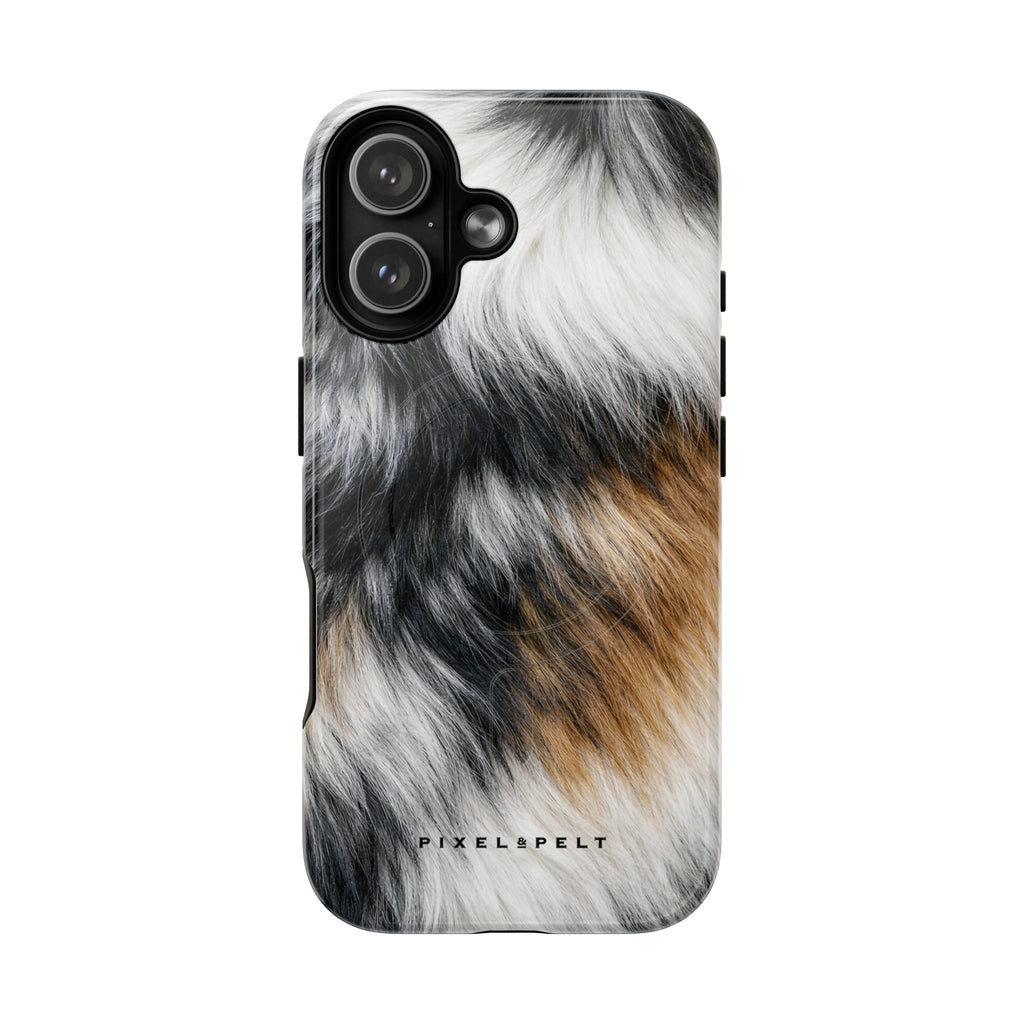 black-white-tan-tricolor-calico