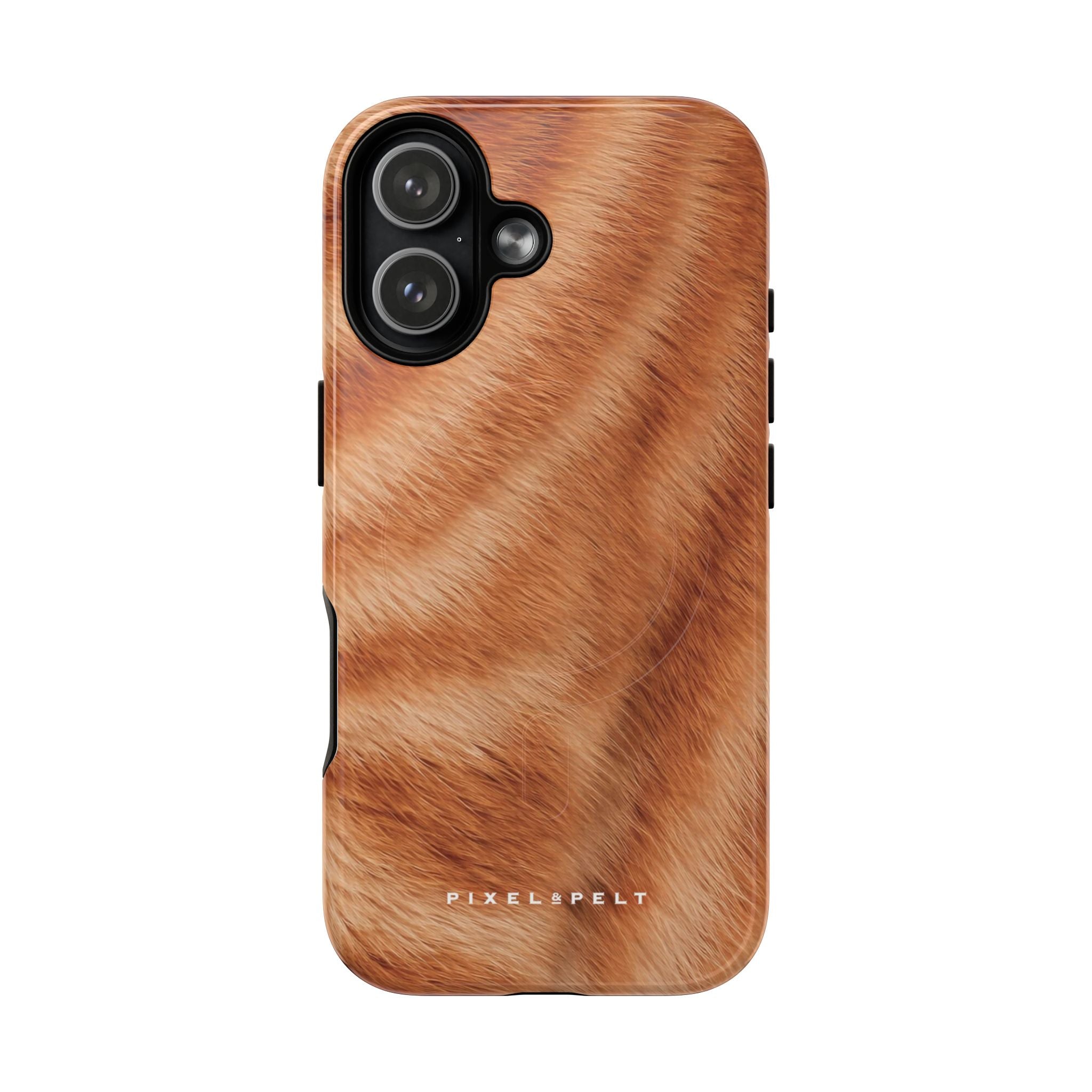 golden-tan-tabby-striped-1