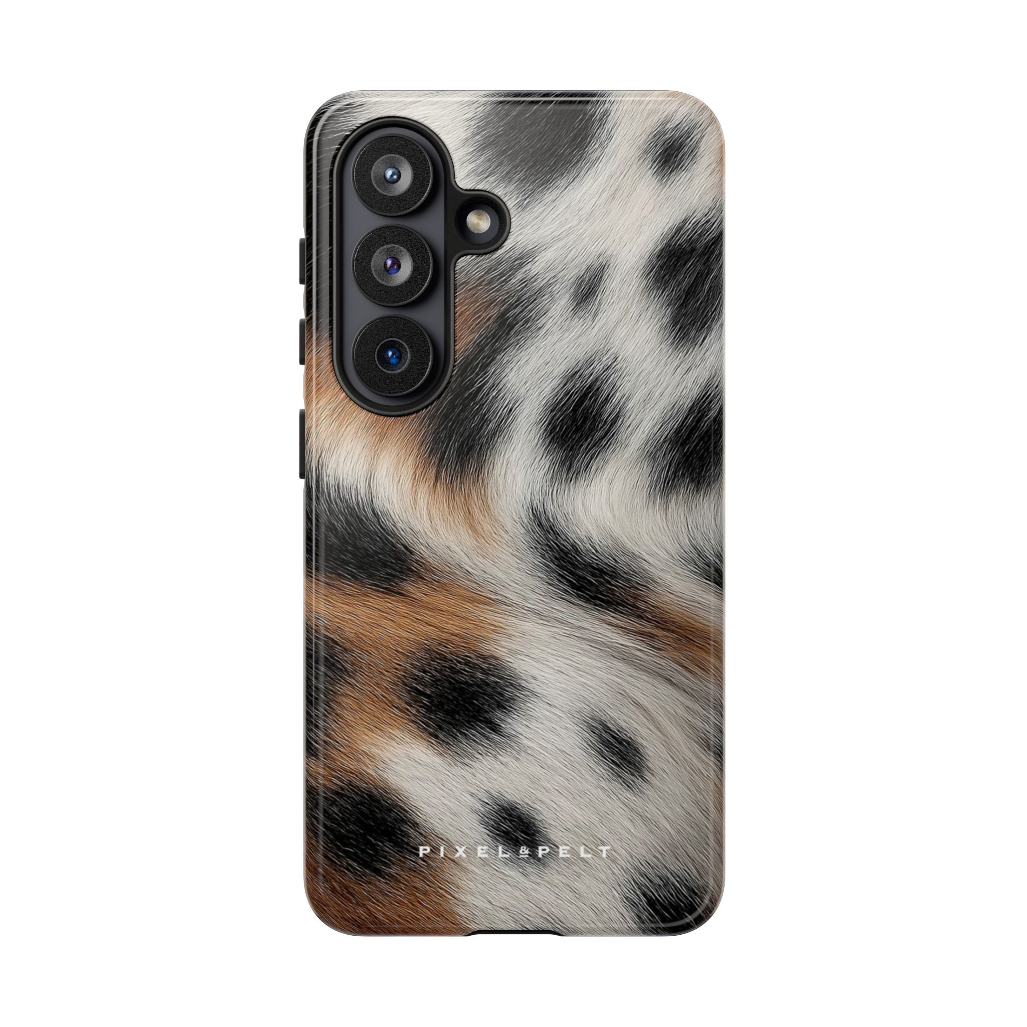 tricolor-spotted-black-white-tan
