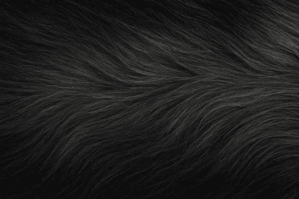 Black coat