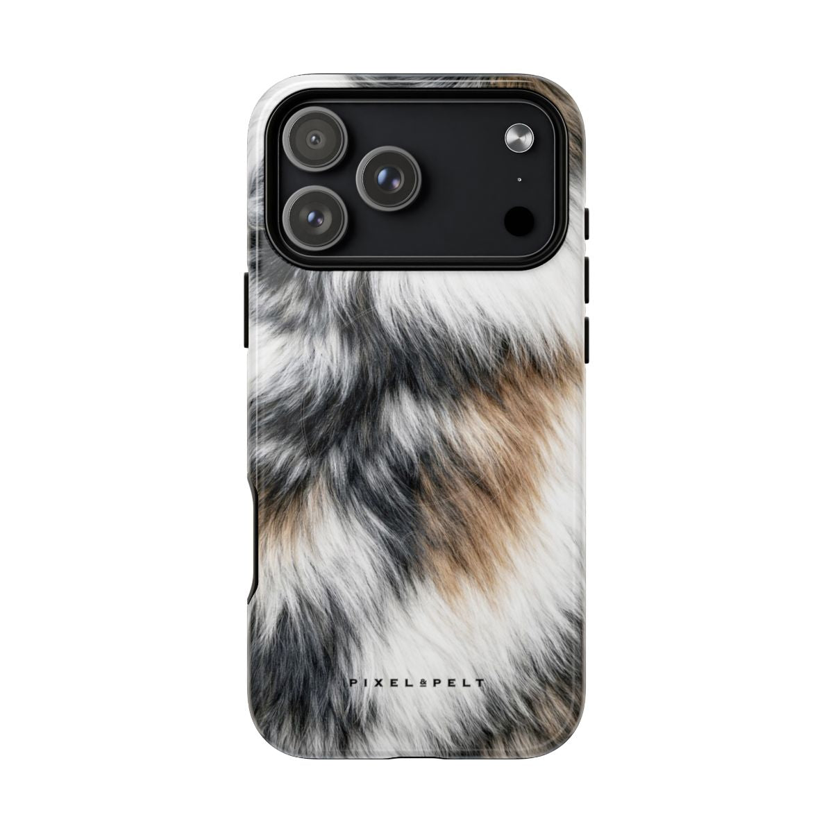 black-white-tan-tricolor-calico iPhone 18 Pro Max