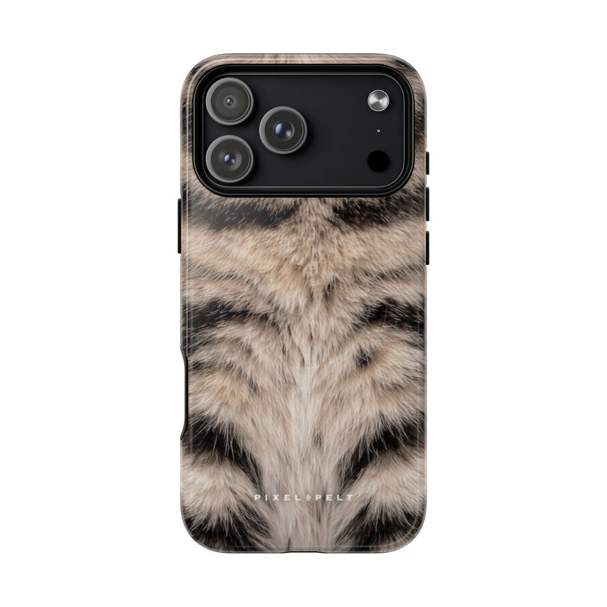 cream-black-striped-tabby iPhone 18 Pro Max
