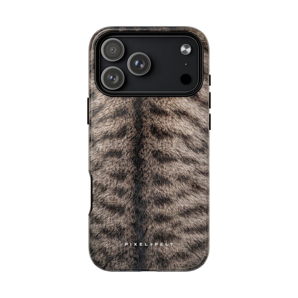 dark-brown-striped-tabby iPhone 18 Pro Max