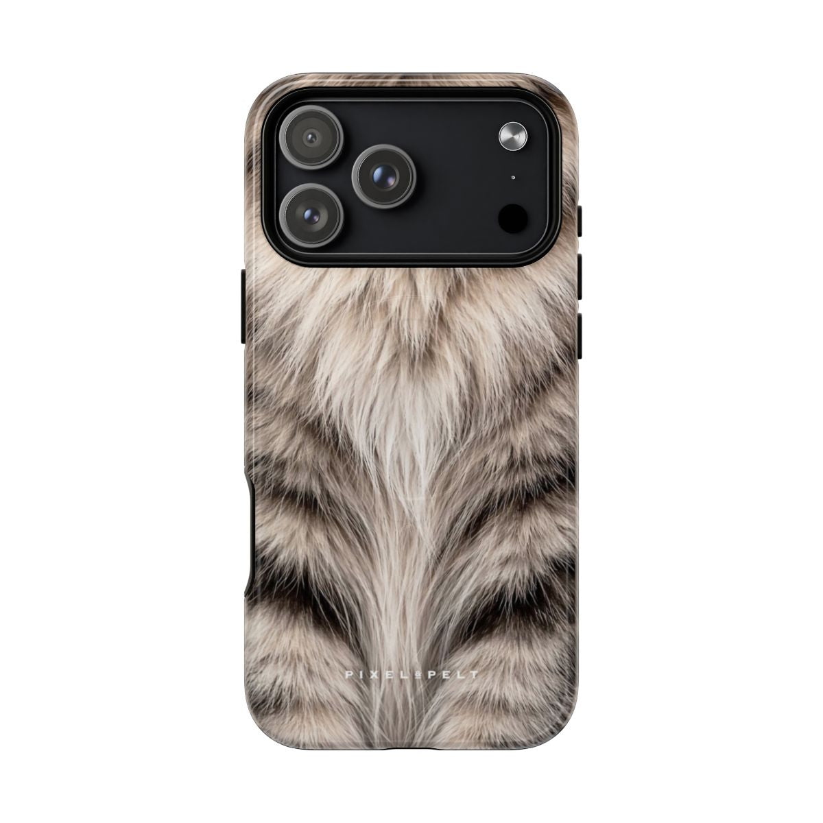 silver-cream-banded-tabby iPhone 18 Pro Max