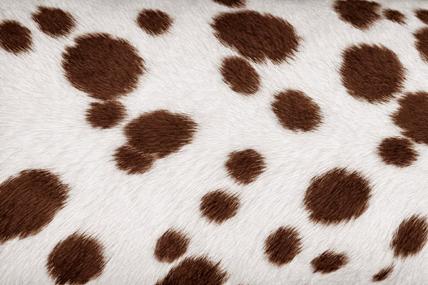 Spotted coat